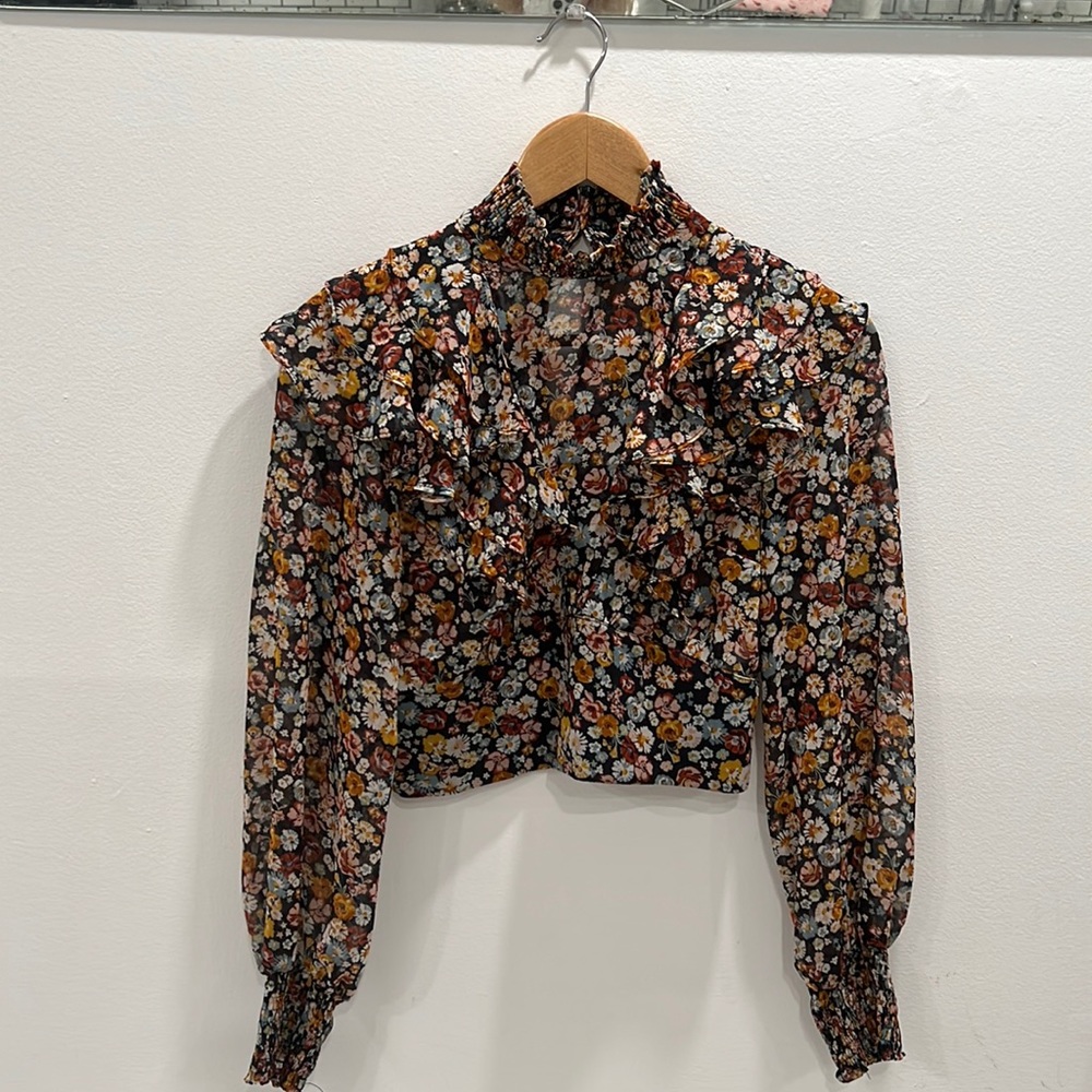 Zara sheer floral crop blouse